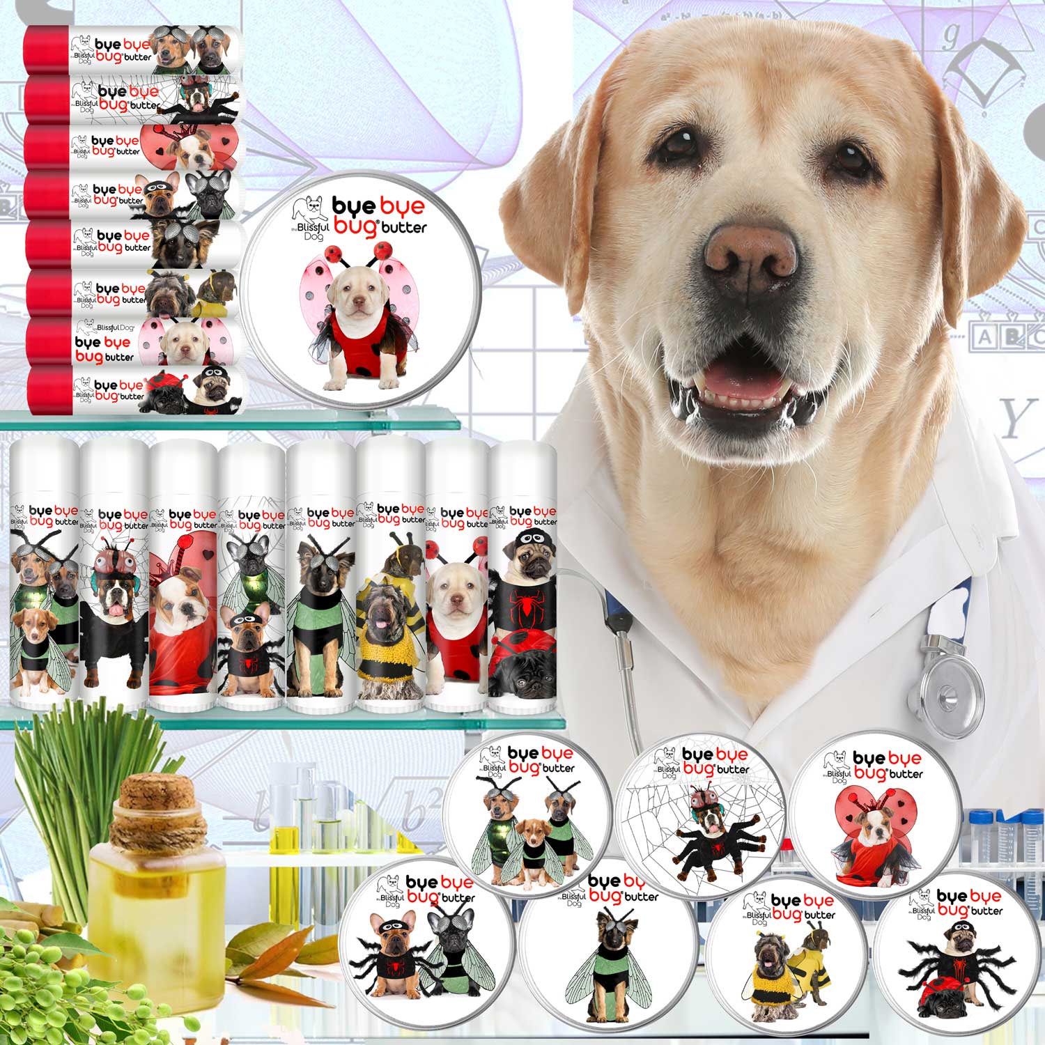 Dog in a lab coat with various dog products and ingredients on a white background