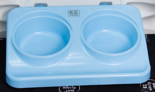 Blue double pet bowl feeder with 'EZ Whelp' branding on a black surface.