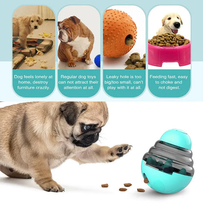 Dog toy with a pug interacting with it, surrounded by text describing issues with other dog products.