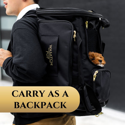 Premium Pet Carrier for Travel