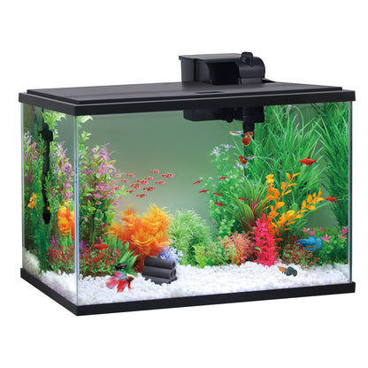 Fish tank with colorful plants and fish on a white background