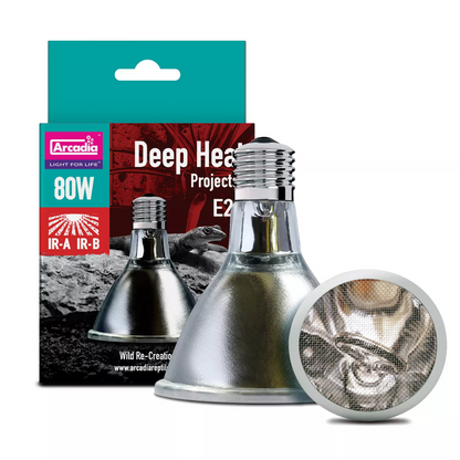 Heating lamp with packaging and close-up of bulb on a white background