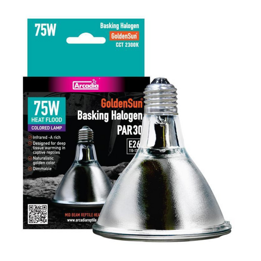 75W basking halogen lamp with packaging on a white background