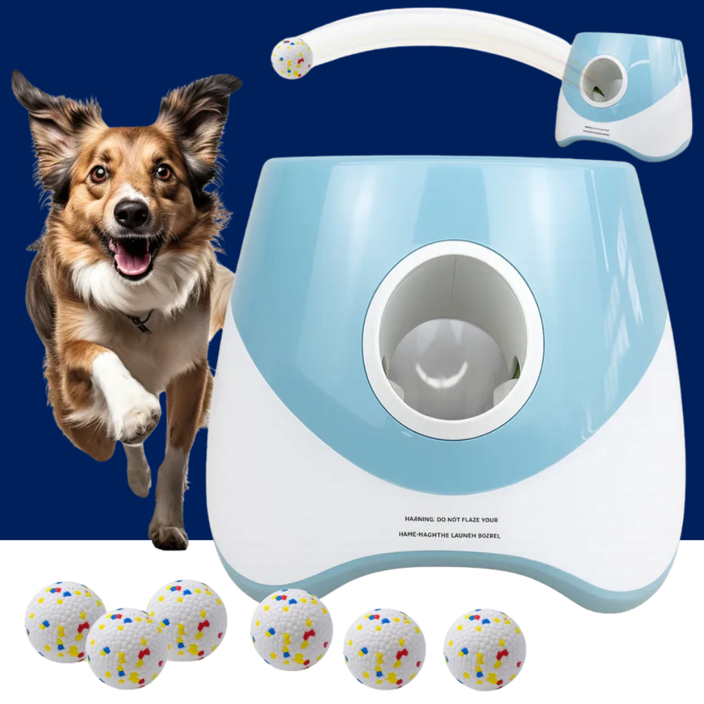Pet toy with a dog and colorful balls on a blue background