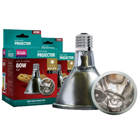 Silver heat lamp bulb with packaging and close-up of bulb interior on a white background