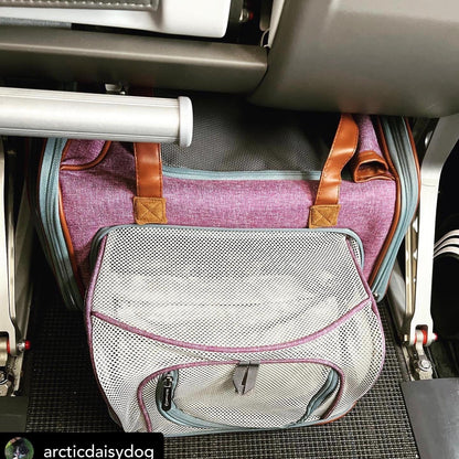 Two bags, a gray mesh bag and a purple duffel bag with brown handles, inside a vehicle.