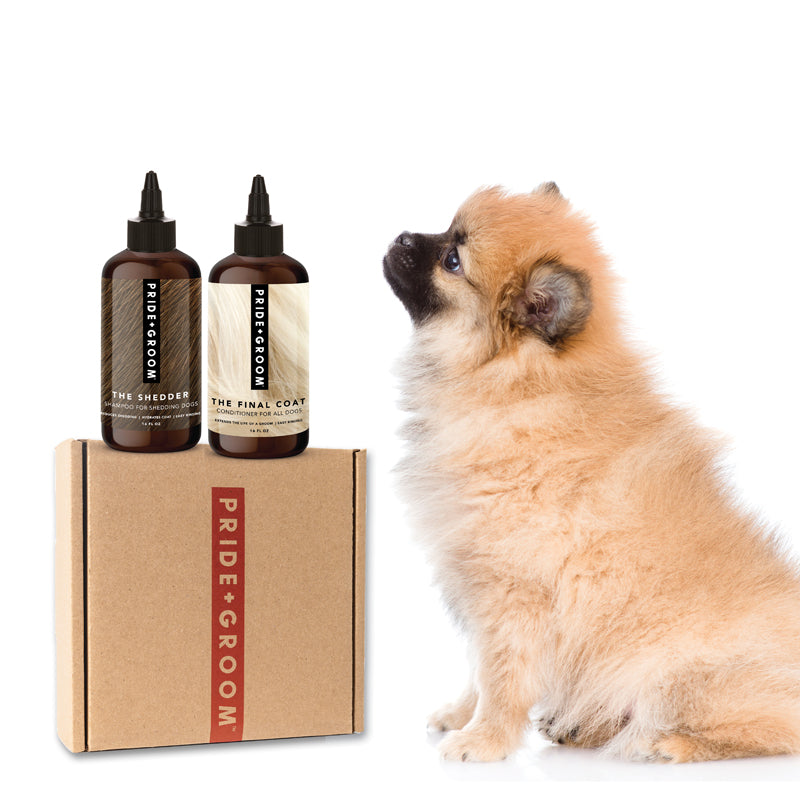 Two bottles of Pride & Groom pet grooming products with a cardboard box and a small dog on a white background.