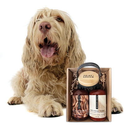 Dog sitting next to a box of 'Pride & Groom' pet grooming products on a white background