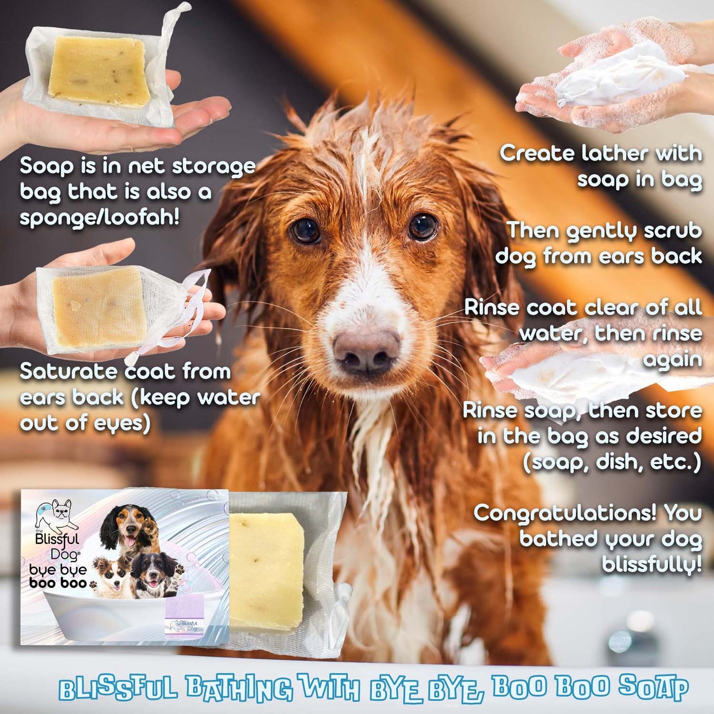 Dog being bathed with soap and loofah instructions displayed.