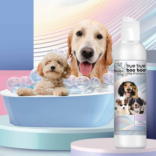 Two dogs in a bathtub with bubbles and a bottle of dog shampoo labeled 'Blissful Bliss' on a colorful background.