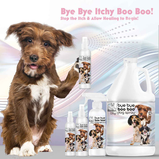 Dog with 'bye bye itchy boo boo' pet care product bottles on a gradient background