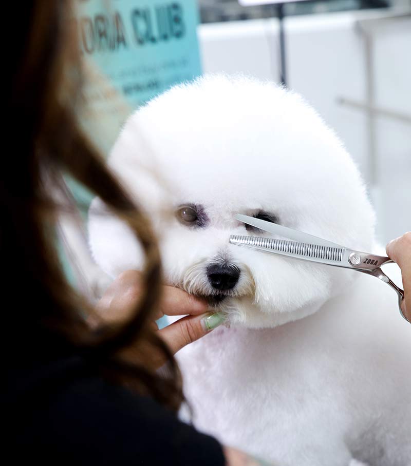 Zora Pet Grooming Blender Shear - Model A-7046