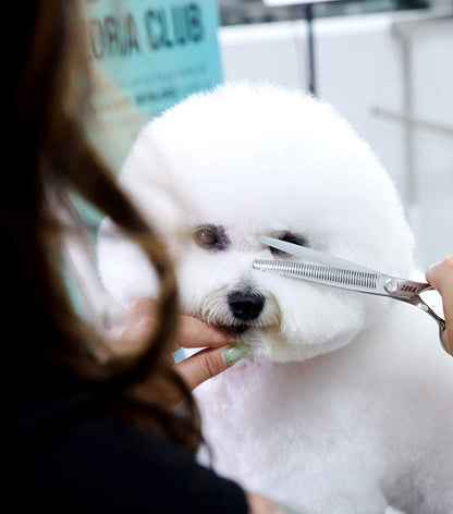 Zora Pet Grooming Blender Shear - Model A-7046