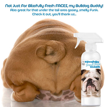 Bulldog with a bottle of Blissfully Fresh Face Wash on a white background