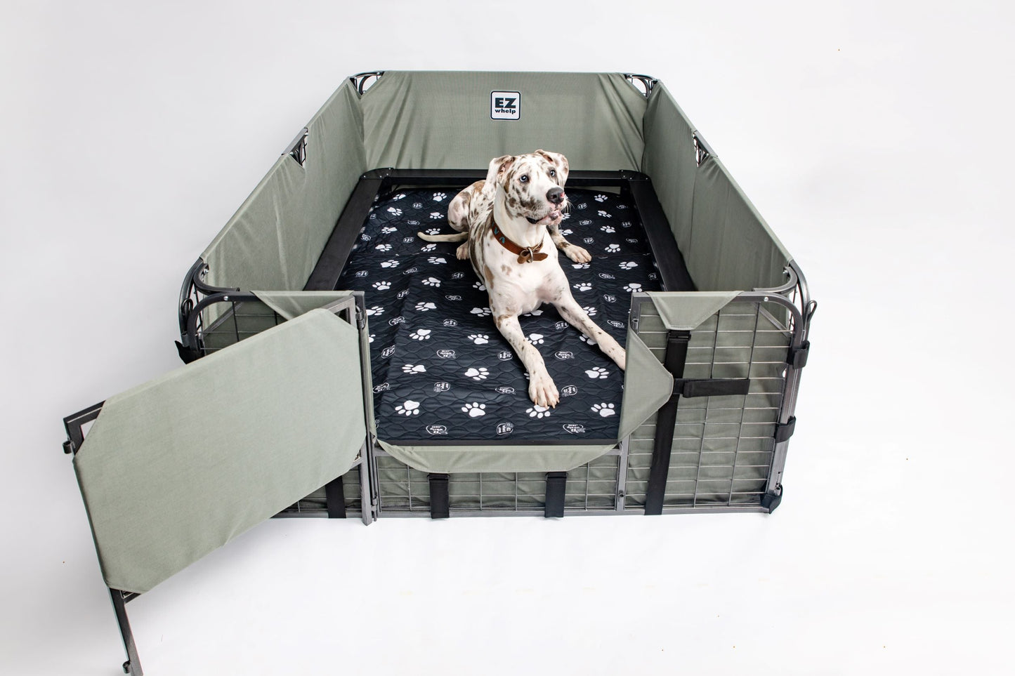 Dog lying on a portable pet pen with a patterned mat inside on a white background