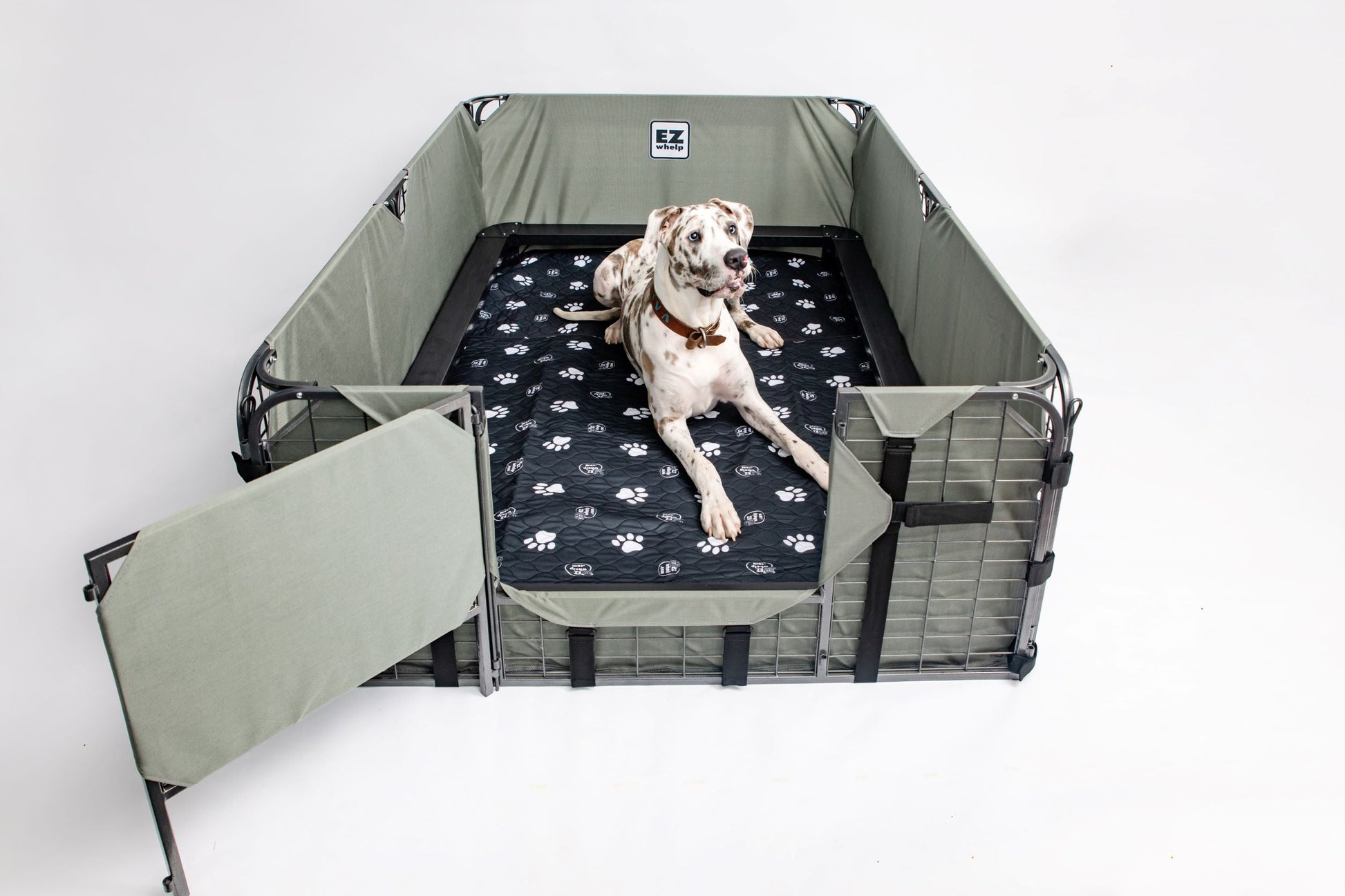 Dog lying on a portable pet pen with a patterned mat inside on a white background