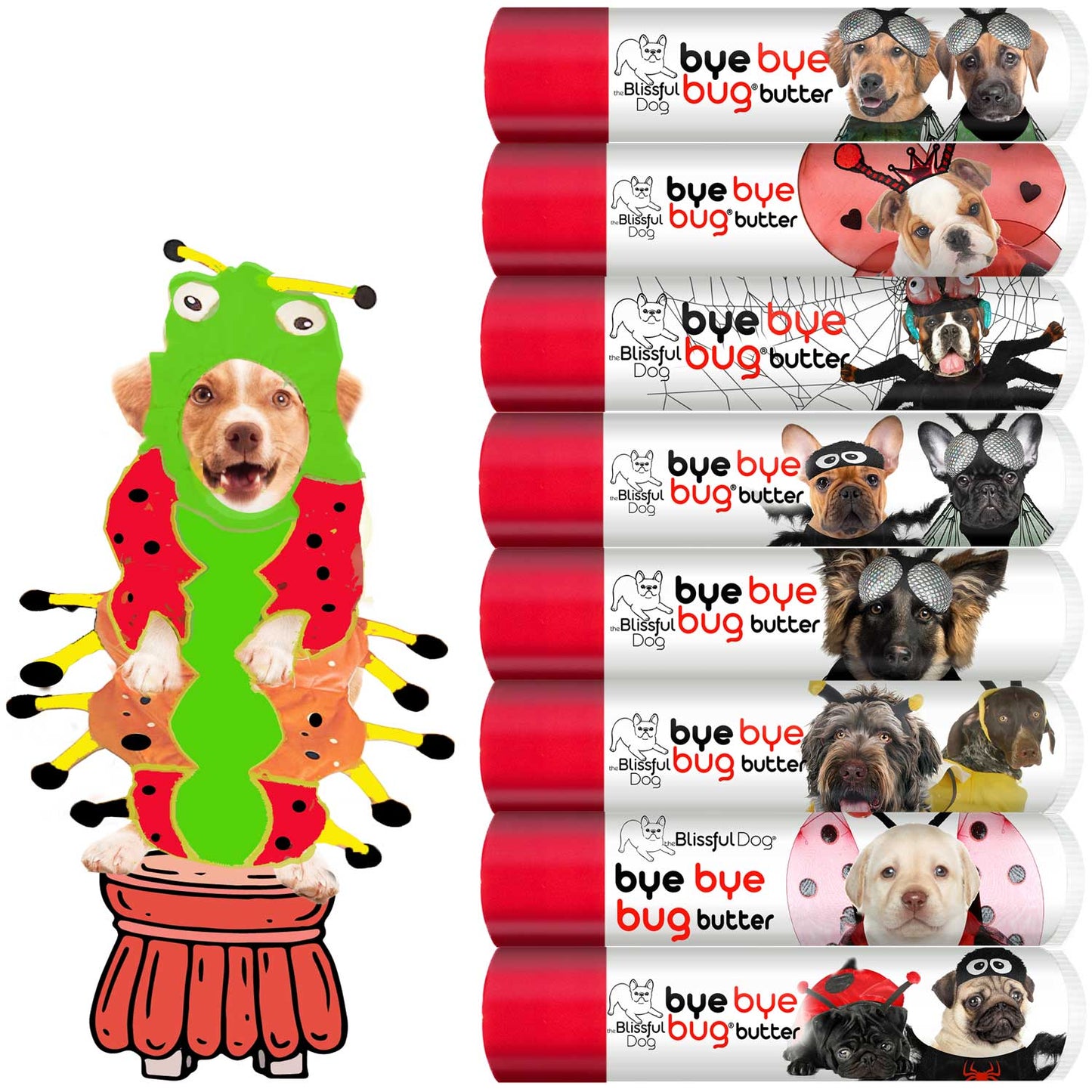 Dog caterpillar costume with 'bye bye bug butter' packaging featuring dogs on a white background