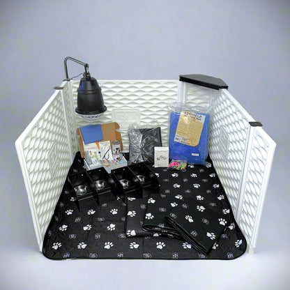 Pet crate with supplies including a lamp, books, and a blanket on a white background
