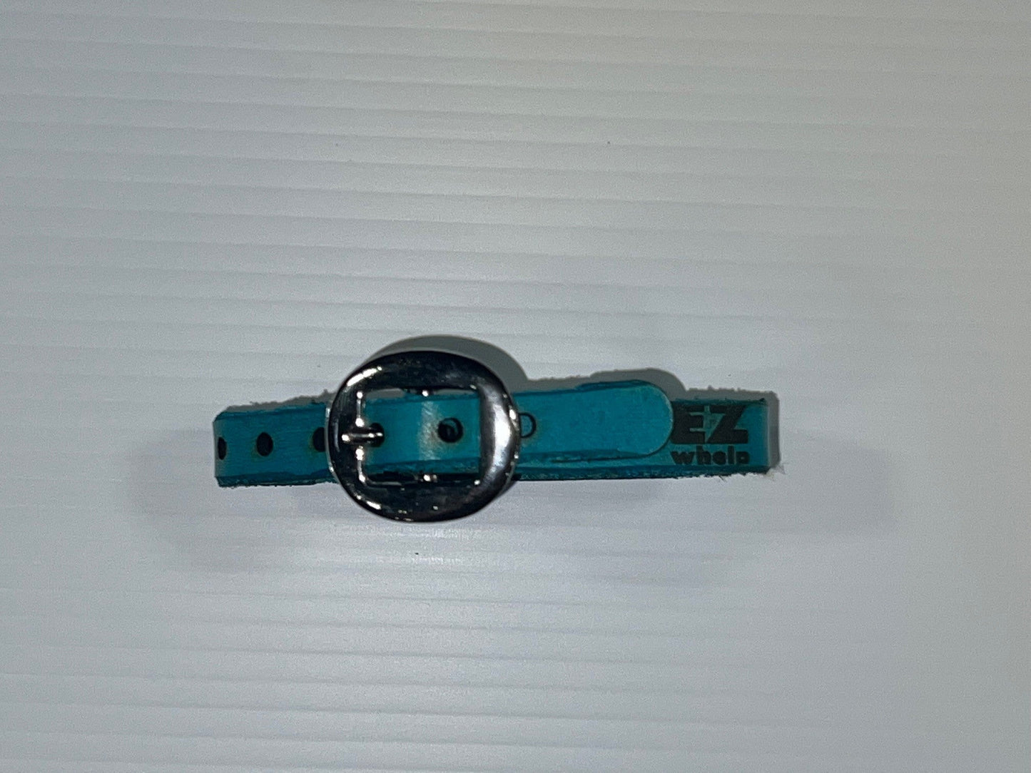 Teal leather dog collar with a silver buckle on a white background