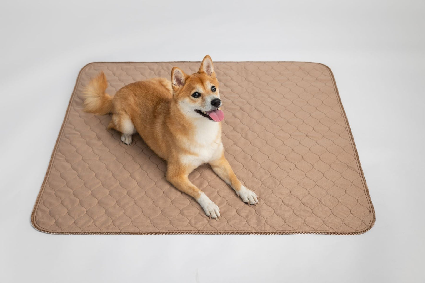 Dog lying on a quilted pet mat with a plain background