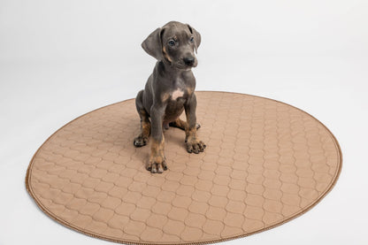 Dog standing on a round, quilted mat with a white background