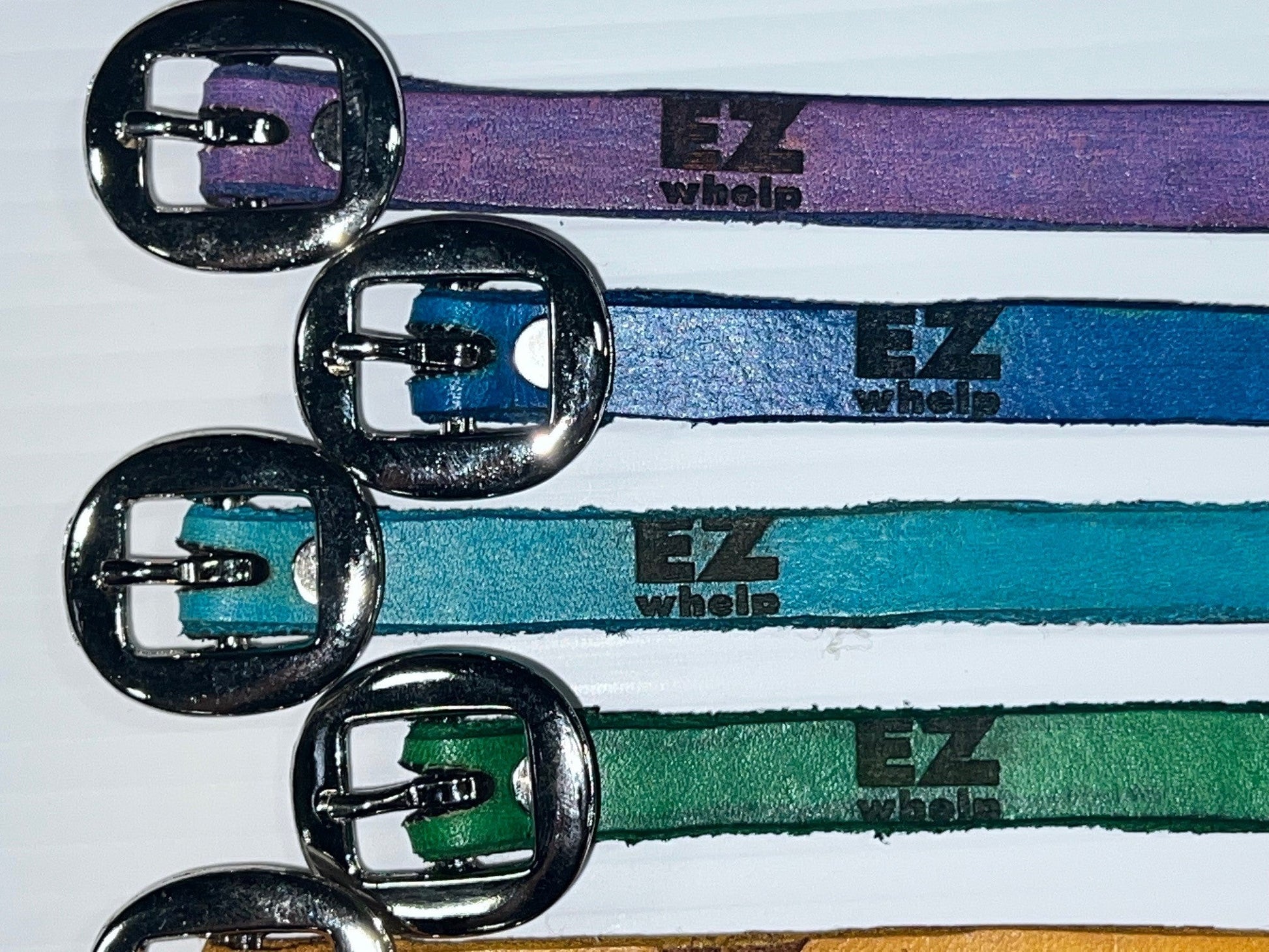 Close-up of EZ Whelp dog collars in purple, blue, and green with metal buckles on a white background.