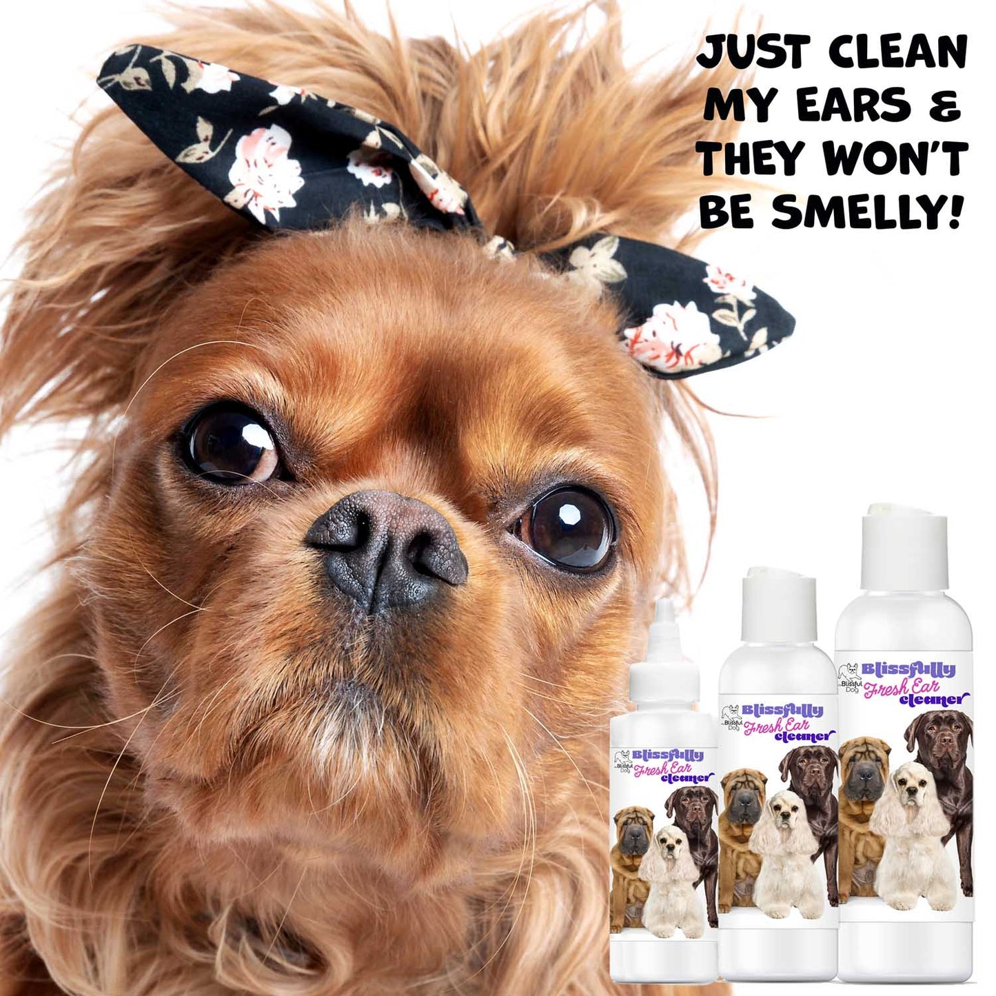 Dog with a floral headband and ear cleaning products with text 'Just clean my ears & they won't be smelly!'.