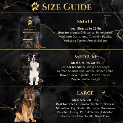 Calm Command: Hands Free No-Pull Leash