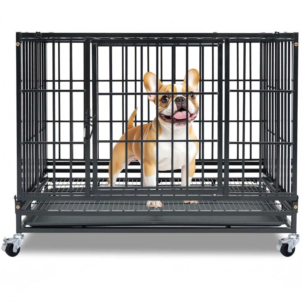 Dog standing inside a large black metal dog crate on a white background