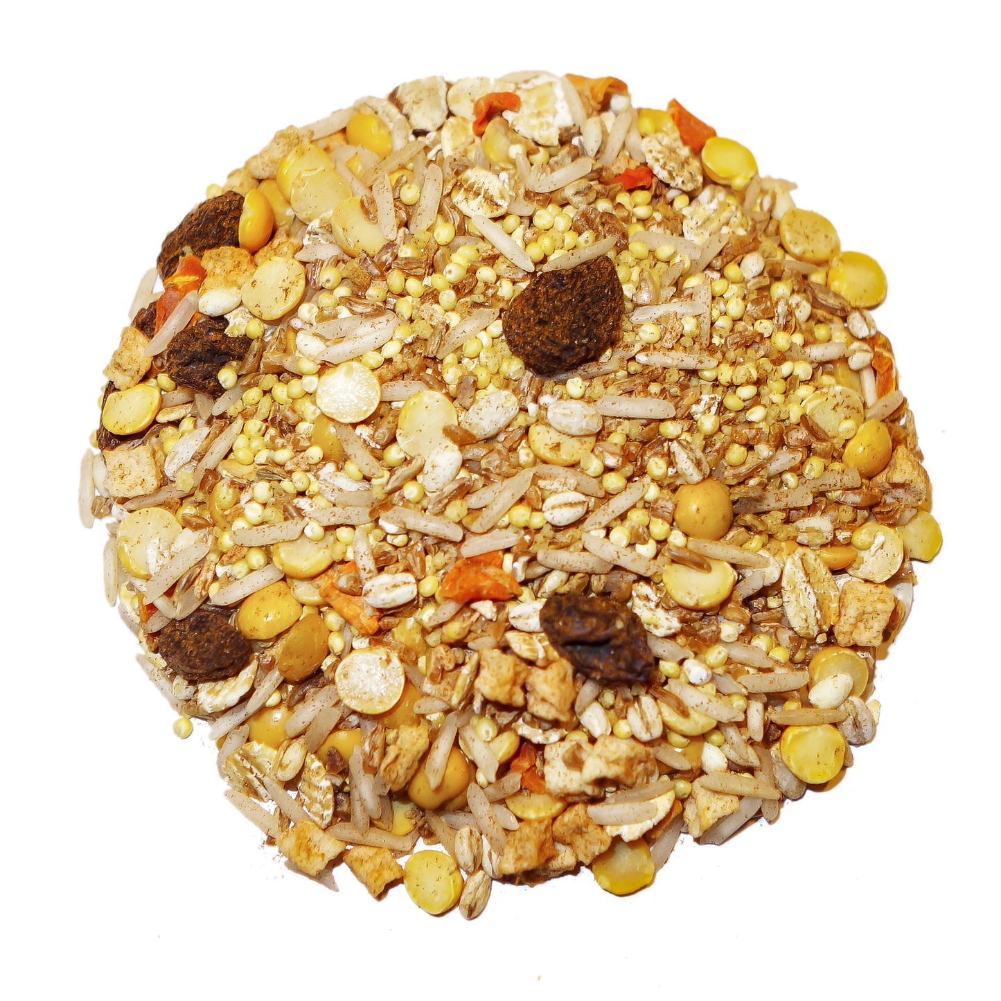 Round bird feeder filled with seeds and grains on a white background