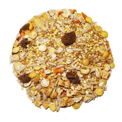 Round bird feeder filled with seeds and grains on a white background