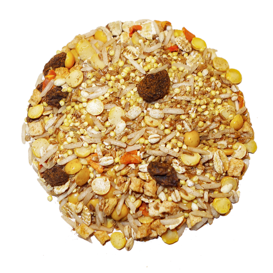 Round bird feeder filled with seeds and grains on a white background