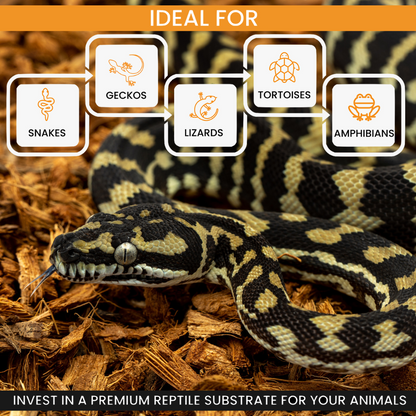 BabiChip Premium Small Sized Coconut Chips; Ready to Use