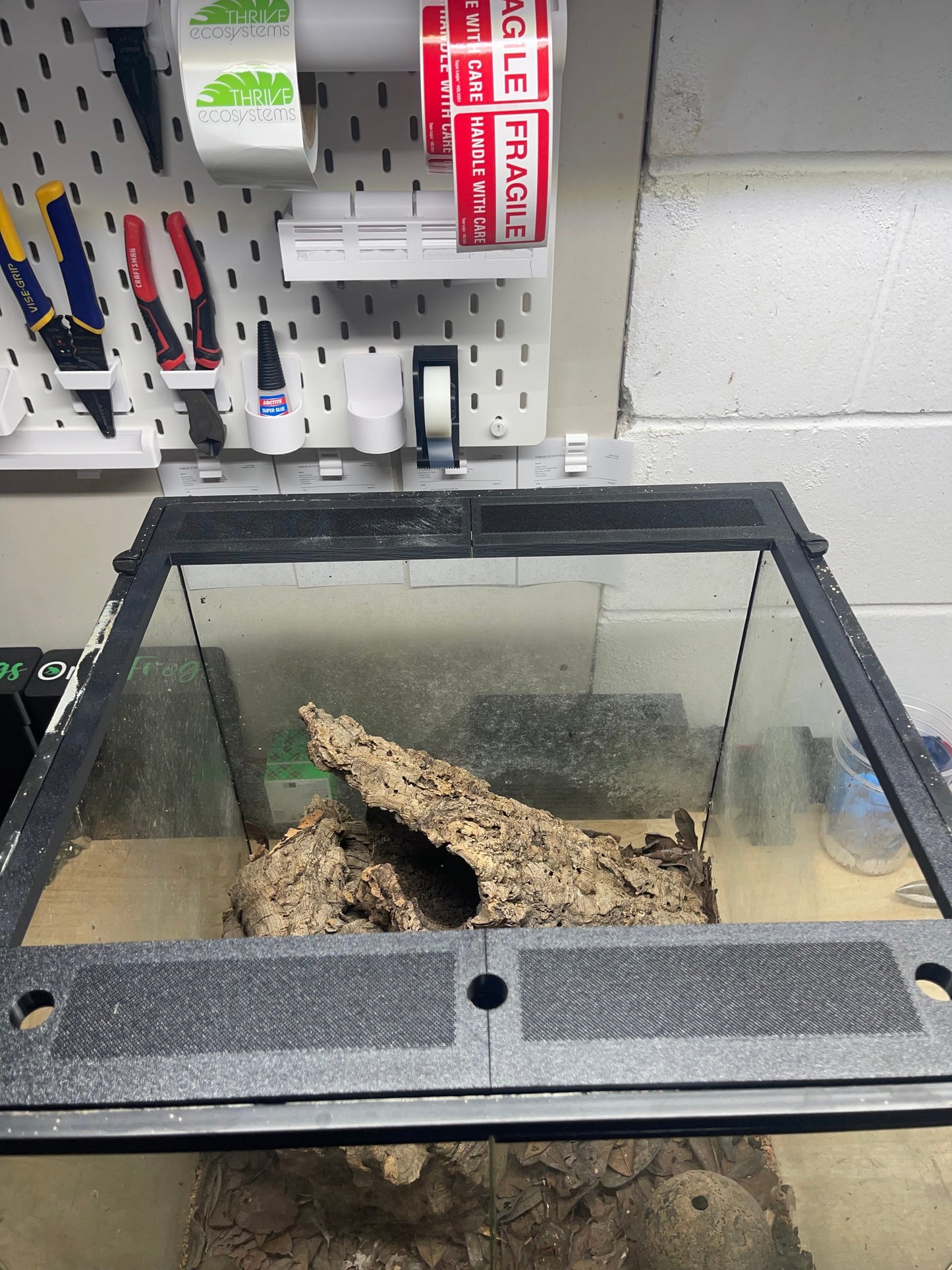 Tortoise tank with a piece of wood inside, placed on a workbench with tools and supplies in the background.