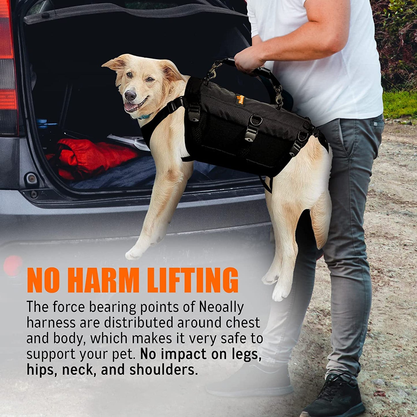 Dog being lifted by a harness from a car trunk with text about the safety of the harness.