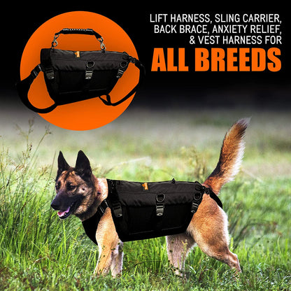 Dog wearing a black harness with text about various harnesses and carriers for dogs on an orange and black background.
