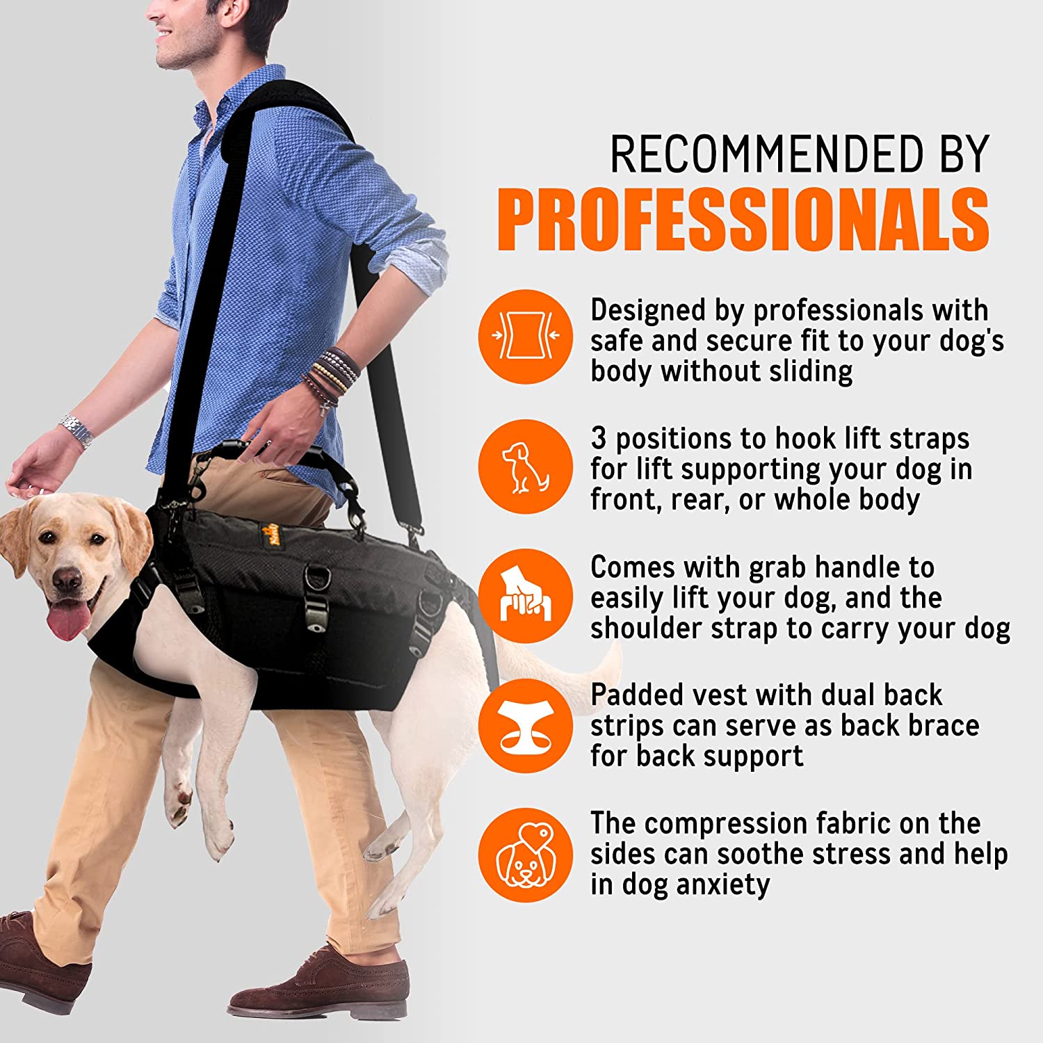 Man walking a dog wearing a black dog lift support system with features highlighted on a gray background.