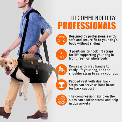 Man walking a dog wearing a black dog lift support system with features highlighted on a gray background.