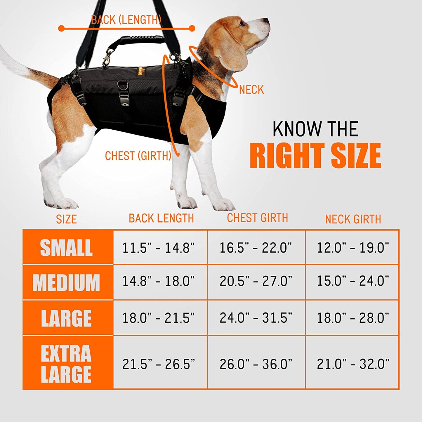 Dog harness size chart with measurements and a dog model wearing the harness.