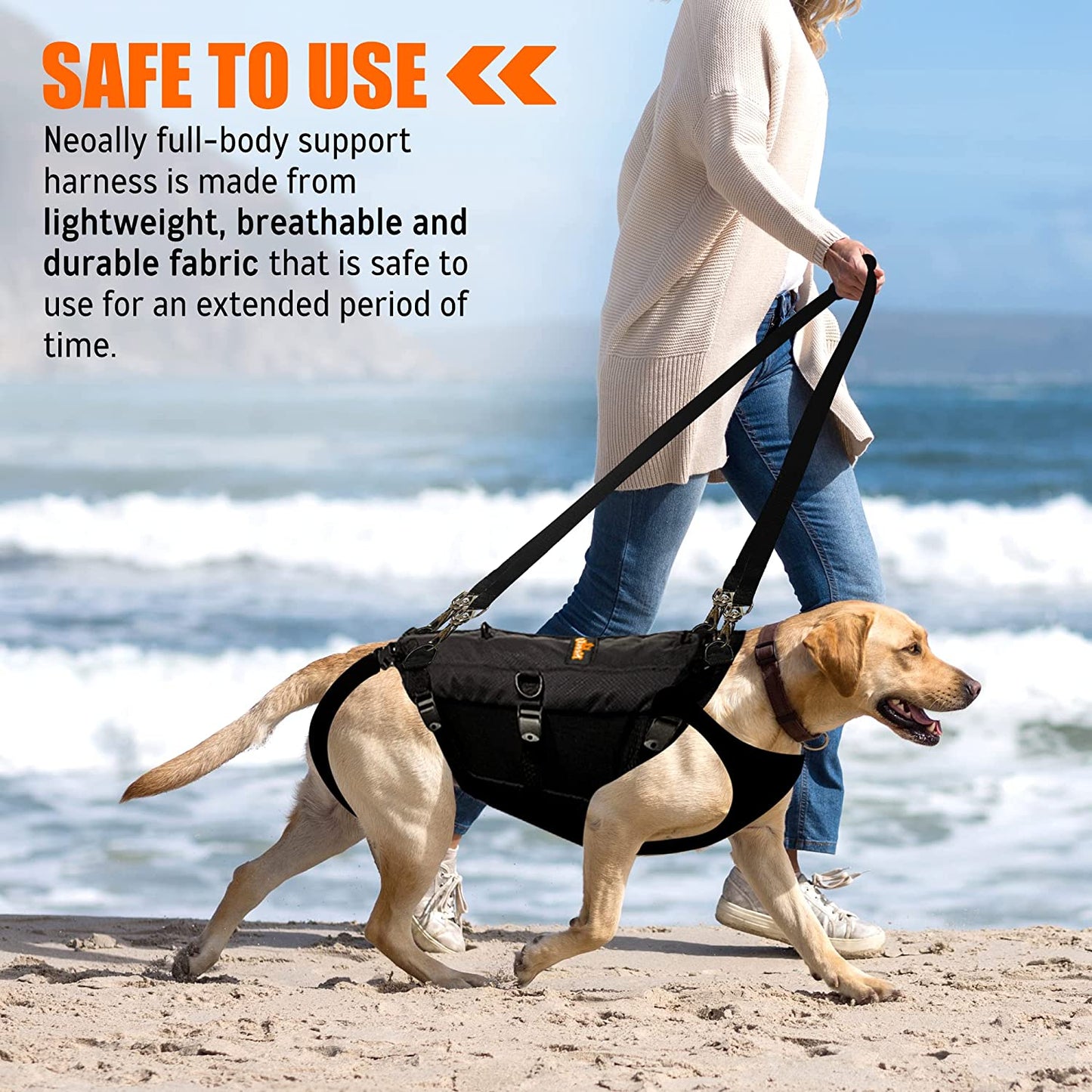 Dog walking on a beach with a harness, text about safety and material of the harness.