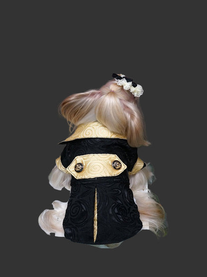 Dog wearing a black and gold outfit with decorative elements on a wooden crate against a dark background.