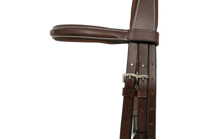 Brown leather bridle on a white background