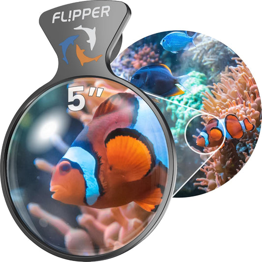 Flipper device showing a clownfish and coral with 'Flipper' branding.