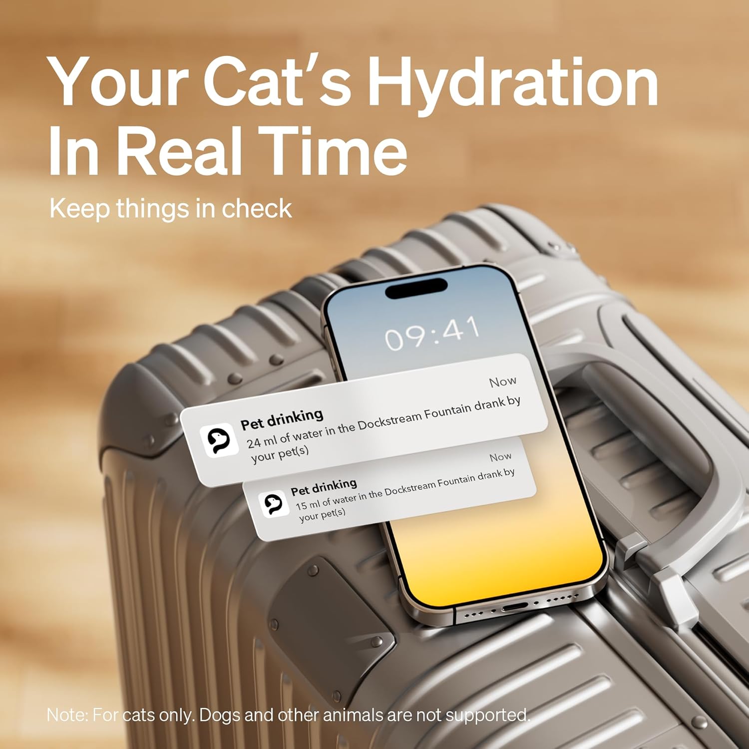 Smart pet water fountain with smartphone displaying hydration data on a wooden background