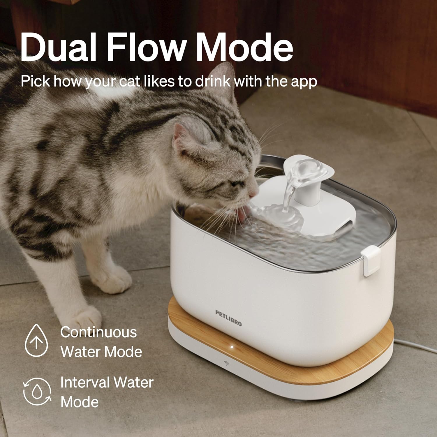 Cat drinking from a Petlibro water fountain with text on dual flow mode and app functionality.
