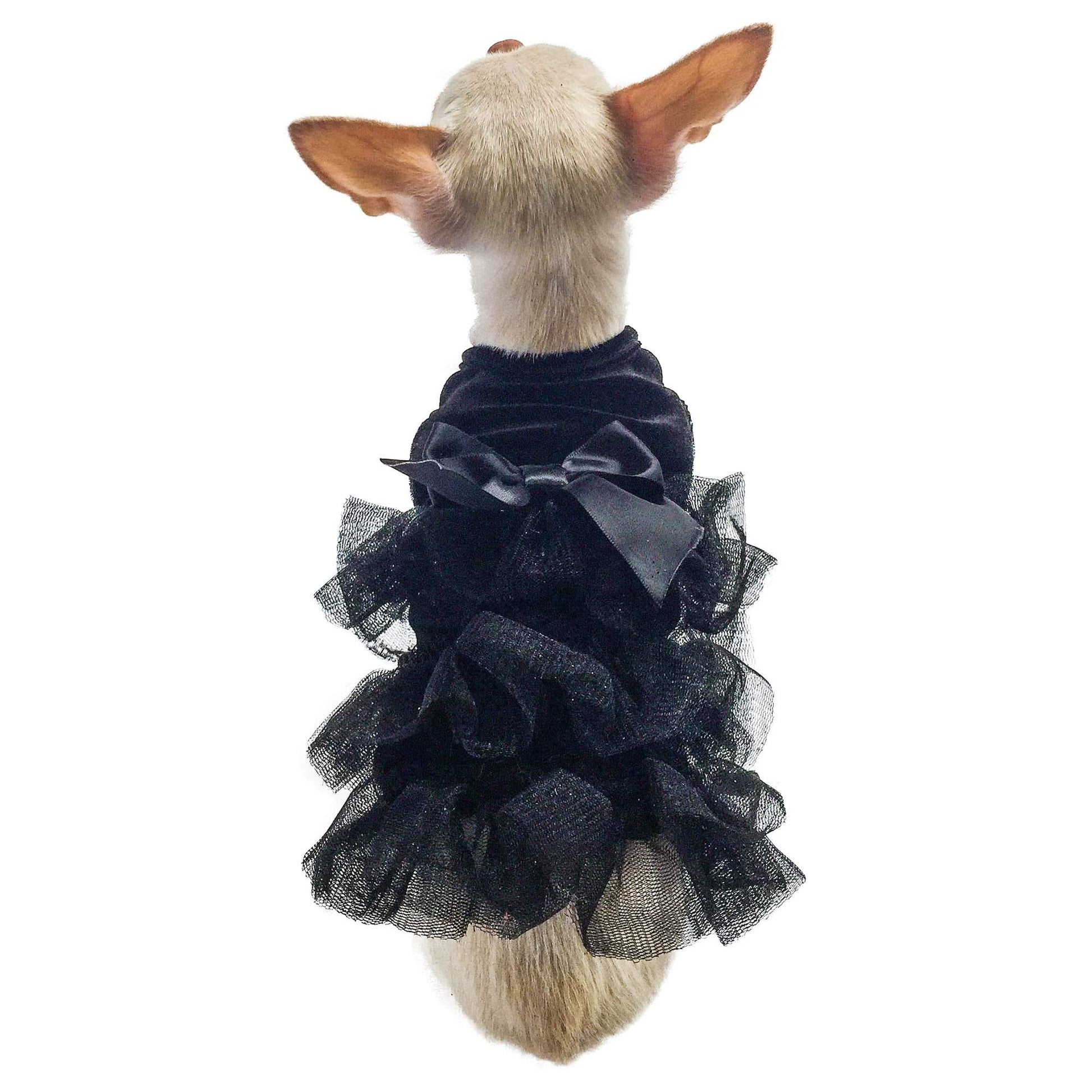 Small dog wearing a black ruffled dress on a white background