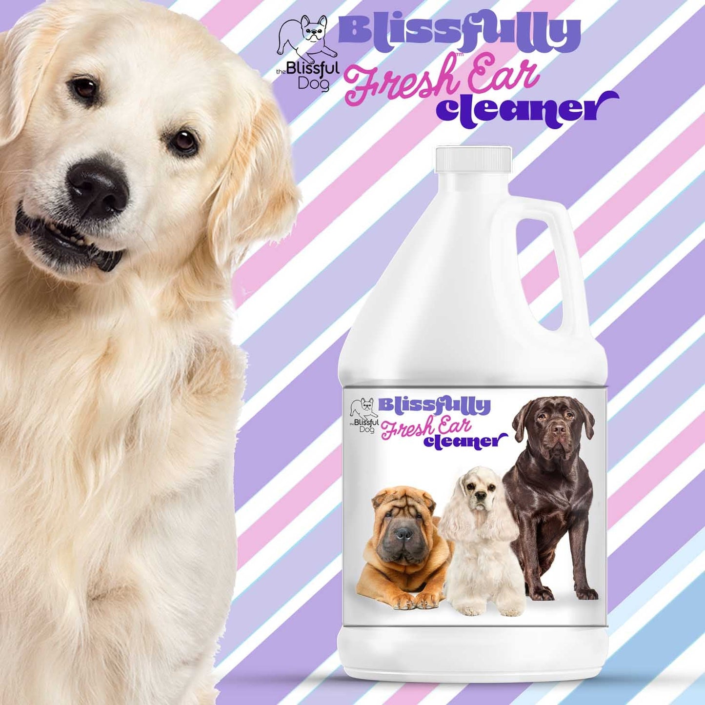Dog ear cleaner bottle with a dog on a colorful striped background