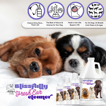 Two dogs lying down with Blissfully Fresh Ear Cleaner products on a white background.