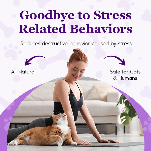 Purrfect Calming Diffuser Kit with 2 Refills