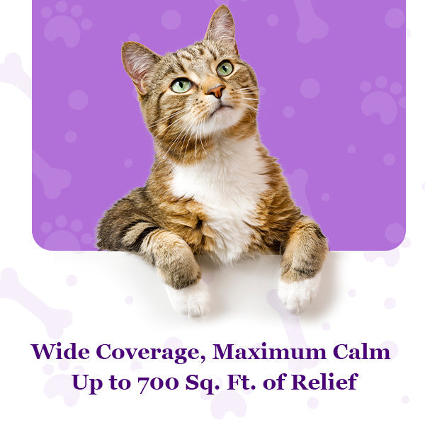 Purrfect Calming Diffuser Kit with 2 Refills